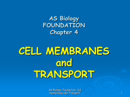 AS Biology FOUNDATION Chapter 4 CELL