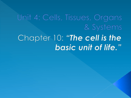 Unit 4: Cells, Tissues, Organs & Systems