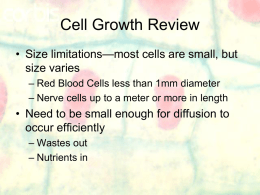 cell cycle notes 1
