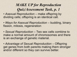 MAKE UP for Reproduction Quiz/Assessment Task