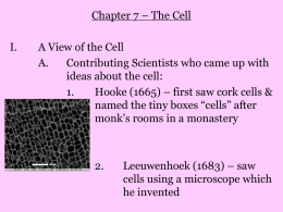 7-Cells and the Microscope