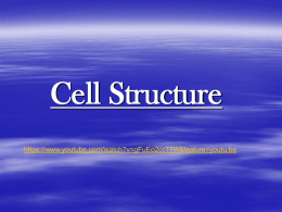 Cell Structure - Industrial ISD