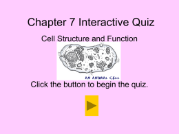 Chapter 1 Interactive Quiz