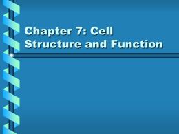 Chapter 5: The Cell