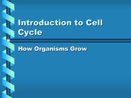 Intro to cell cycle notes and Cell Cycle Flip Chart