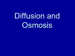 Diffusion and Osmosis Notes