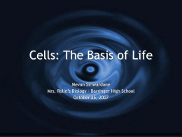 Cells: The Basis of Life