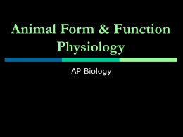 Animal Form & Function Physiolog
