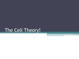 The Cell Theory!