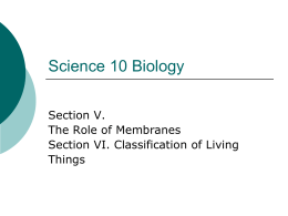 Science 10 Biology