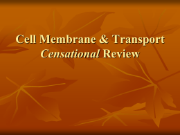 Membrane & Transport Review