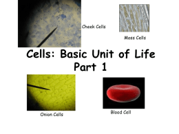 Cells: Basic Unit of Life