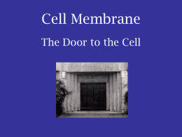 Cells and Membranes