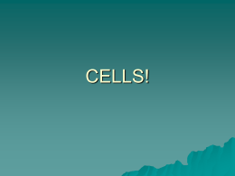 B) Cells