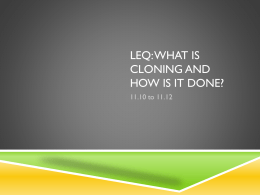 Leq: what is cloning and how is it done?
