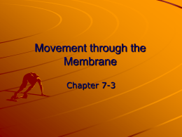 Movement through the Membrane