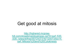 Get good at mitosis