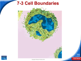 CP Bio PPT\Ch.7 - Cells\Sec 3