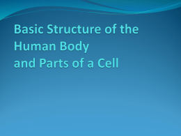 Body Structure and Parts of a Cell