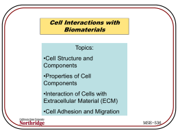 Cell interactions