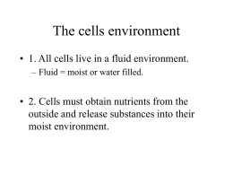 Chapter 4 The Cell and it`s Environment