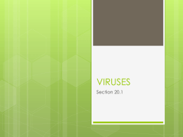 viruses - Msleone.org