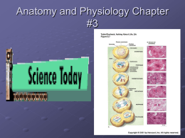 Anatomy-and-Physiology-Chapter