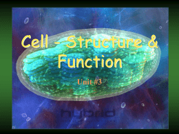 Cell - Structure & Function
