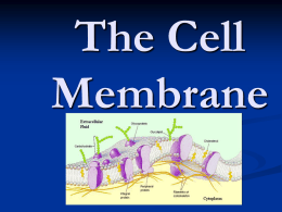 The Cell Membrane - Solon City Schools