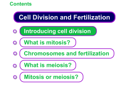 KS4 Cell Division and Fertilization