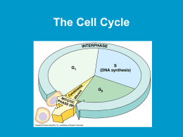 The Cell Cycle - Warren County Public Schools