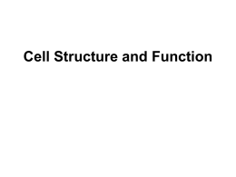 Cell Structure and Function Cells