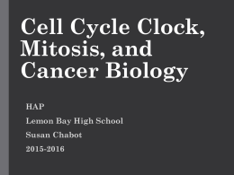 Cell Cycle, Mitosis, and Cancer Biology