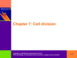 7-5 Cell cycle
