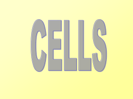 Specialized cells