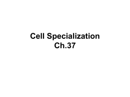 Cell Specialization Notes