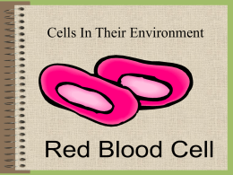 Cells In Their Environment