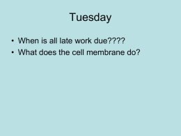 WEEK 12 CP Cell_Transport_Bio