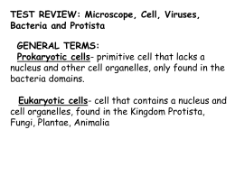 TEST REVIEW: Microscope, Cell, Viruses, Bacteria and