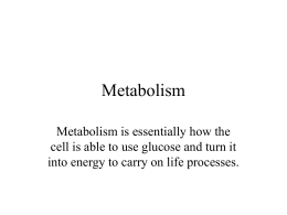 Metabolism part 1