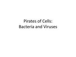 The Fugitives and Assassins: Bacteria and Viruses