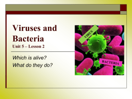 Viruses - I Heart Science