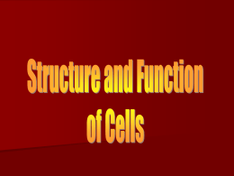 Structure_and_Function_of_Cells