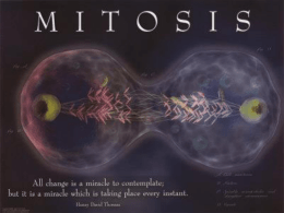 Mitosis - Cloudfront.net