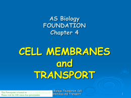 AS Biology FOUNDATION Chapter 4 CELL MEMBRANES and