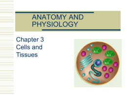 Cells and Tissues PPT