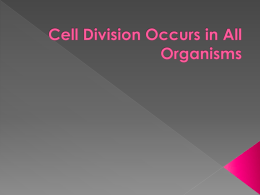 Cell Division Occurs in All Organisms