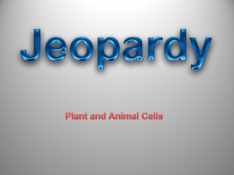 plants and animal cells review