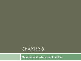 Chapter 7 ppt