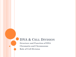 DNA and Cell Division - Student Note